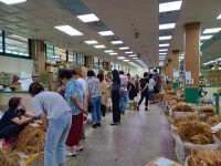 금산군, 인삼약초시장 화재 예방 사업비 3억6029만원 확보