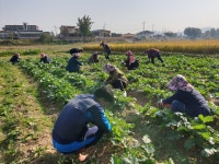 아산 온양3동, 일손 돕기 봉사활동