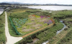 농어촌공사, 잠홍저수지 Eco-tone 복원사업 시행