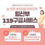 서천소방서, 임산부 119구급서비스 연중 운영