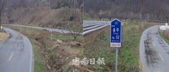 충주 국가하천구역내 사유지 불법 경작...내 땅인데 뭐 어때