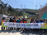 농협보령시지부 농번기 농촌일손돕기