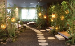 롯데백화점 대전점, 도심 속 대나무 숲 힐링 공간 소담원 오픈