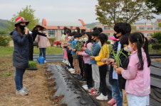 보령 청보초, 텃밭을 가꾸기 체험