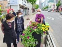 충주 용산동 봄꽃거리 조성...힐링 꽃 설치로 경제 활성화 도모