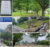 상명대 천안캠퍼스에서 촬영... KBS 멀리서 보면 푸른 봄 방영