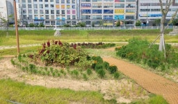 세종시, 나성동 시민휴식 공간 조성