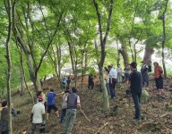 금산군 남이면, 상사화 꽃단지 조성