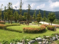 예산군, 추석맞이 내포신도시 제초 작업 등 환경정비 추진