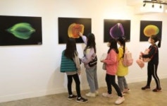 충남 천리포수목원, 백두대간 자생 씨앗 작품 전시