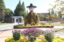 당진시, 국화작품 전시 11월7일까지 연장