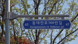 대전 동구, 보행자용 도로명판 300개 설치