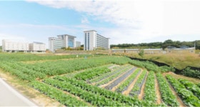 기업도시 당진 신평면 일대 토지 거래 활발