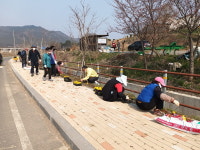 서천군 서천읍 화성1리, 봄맞이 꽃심기 행사 개최