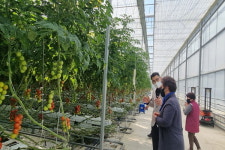 부여군, 폐양액 재활용으로 저탄소 농업기술 보급 주력