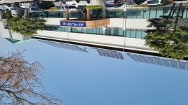 아산시, 떡볶이 떡 상온유통 기술 시범사업