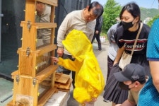 세종시, 양봉 체험 추가모집