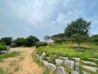 서천군 서천읍, 곰솔공원 정비 작업 완료