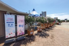 충남, 무궁화 전국 품평회서 금상