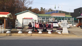 음암면, 겨울 꽃양배추로 아름다운 마을 조성