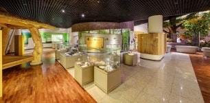 아산시, 산림·민속 생활자료 공개 구입