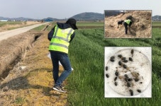 서천군, 농경지 월동 병해충 밀도 조사 나서