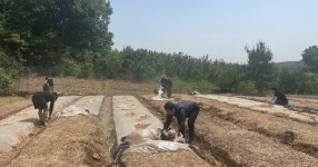 농협서산시지부, 한서대학교 봉사단과 영농폐기물 수거