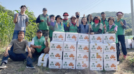공주시 웅진동새마을회, 사랑의 감자 나눔 진행