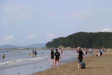 서천군, 푸른 해송 춘장대해수욕장 개장식 개최