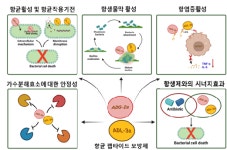 KBSI, 슈퍼버그 대응 물질로 새로운 항생제 개발