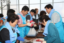 박범인 금산군수, 부리농협 육묘장 배추 육묘파종 농촌일손돕기 동참