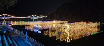 대전 중구, 제14회 효문화뿌리축제 성료