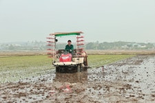 오성환 당진시장, 풍년 농사 기원 모내기 시연