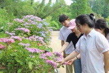 올 여름 휴가, 초록의 싱그러움이 가득한 천리포수목원으로