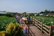 석성면, 제4회 석성연꽃밭잔치 성료