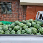 합덕읍 일대 경로당에 수박 150통 기부 