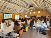 보령교육지원청, 2024 공립유치원 전문적 학습공동체의 날 2차 배움자리 운영