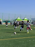 보령시,2025 만세보령머드배 JS CUP U12&11 한국유소년 축구대회성료