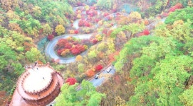 단양 보발재, 60대 이상 국내 핫플레이스 전국 4위