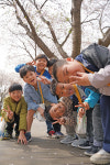 부여 외산초, 벚나무 길을 걷는 즐거운 산책