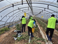 농협 보령 농축협 집중호우 피해농가 인력지원 실시