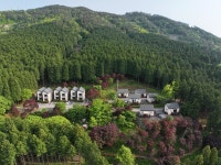 산림복지진흥원, 사천 케이블카 자연휴양림 숲 치유효과 검증