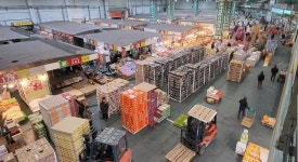 [추석특집] 비싸면 맛있을까... 배테랑 경매사의 추석 과일 고르는 법