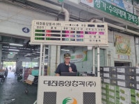 성은농원사과직판장 | [추석특집] "비싸면 맛있을까"... 배테랑 경매사의 '추석 과일 고르는 법'