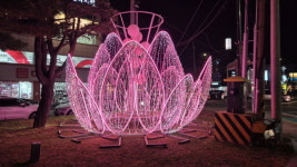 보령시, 내년 2월 말까지 시가지 야간 경관조명 운영