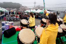서천군 마서면, 제10회 마서면 홍덕마을 벚꽃축제 성료