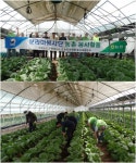 대전교도소 논산지소, 농번기 일손 부족 농가에 희망의 손길