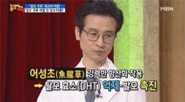 반지의제왕, 어성초 탈모방지 효과 그렇게 좋나?