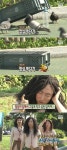 무한도전 원주민들 서울에서 수렵생활, 박명수팀 비둘기 포획 성공
