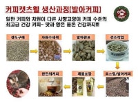 커피캣츠웰, 고급 커피의 대중화 꿈꾼다…착한 가격으로 시장 공략